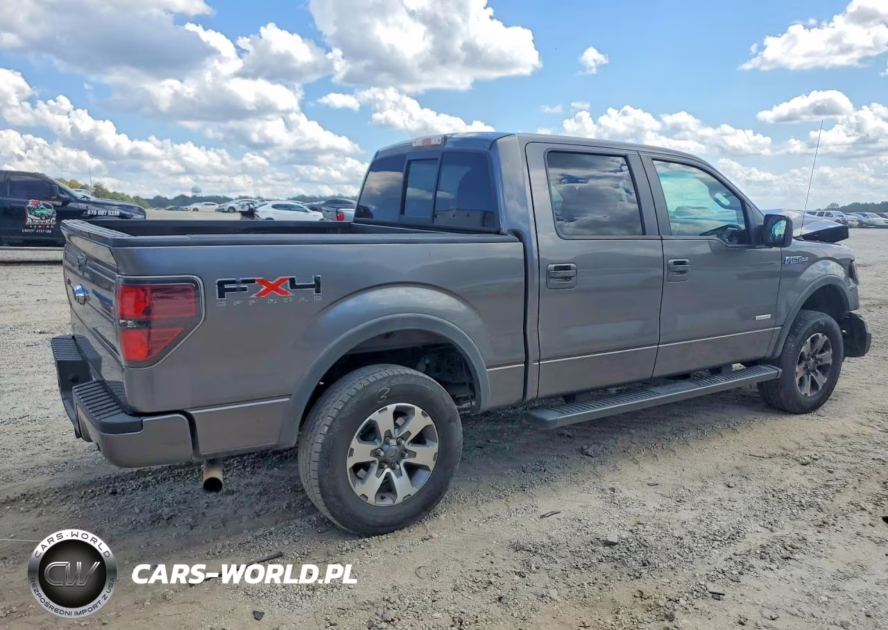 2011 Ford F150 Supercrew VIN:1FTFW1ET8BFD35038 - 3