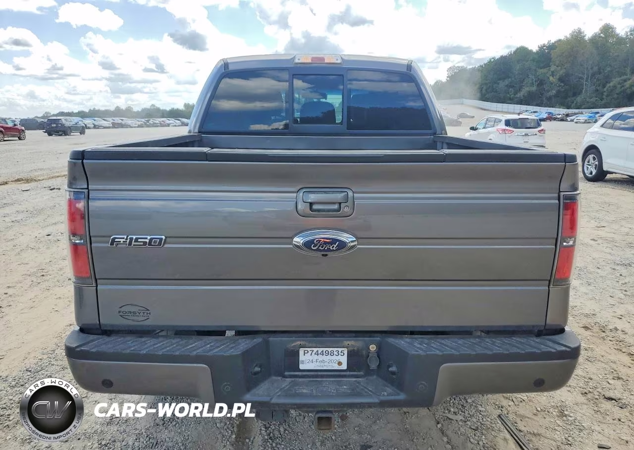 2011 Ford F150 Supercrew VIN:1FTFW1ET8BFD35038 - 6