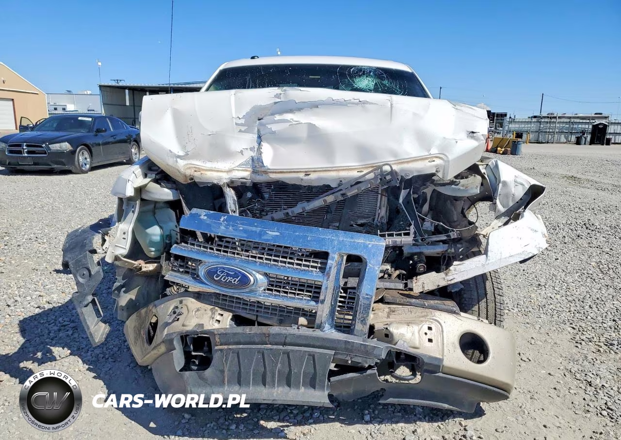 2010 Ford F150 Supercrew VIN:1FTFW1EV2AFA52182 - 5