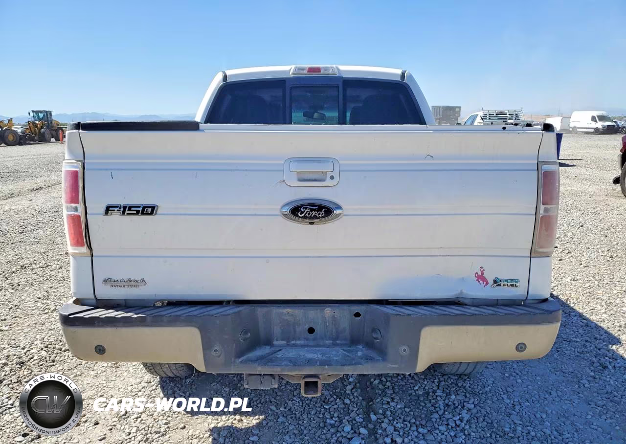 2010 Ford F150 Supercrew VIN:1FTFW1EV2AFA52182 - 6