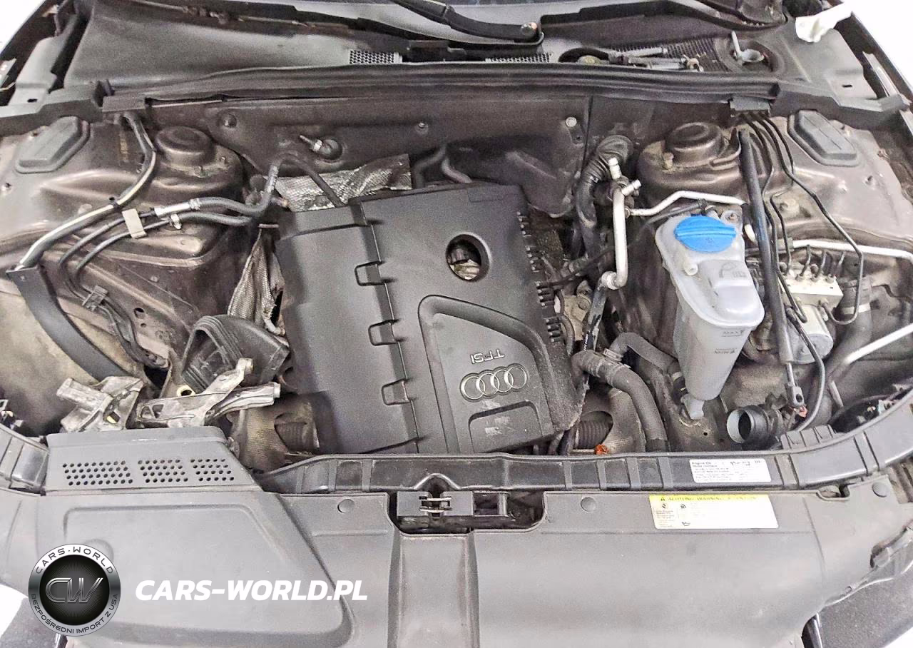 2013 Audi A5 Premium Plus VIN:WAULFAFH9DN018114 - 11
