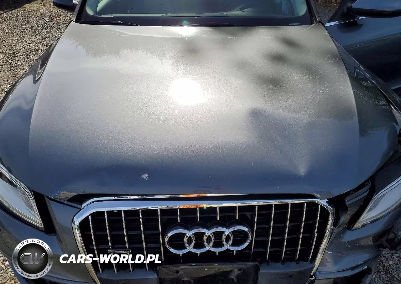 2013 Audi Q5 Premium Plus VIN:WA1DGAFP4DA081487 - 12