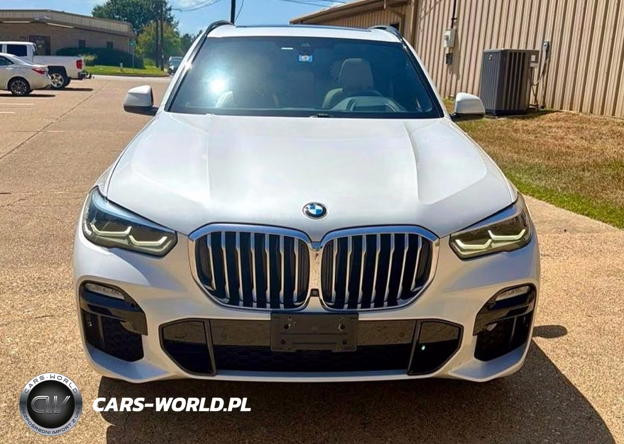 2019 BMW X5 xDrive40I VIN:5UXCR6C55KLL37146 - 12