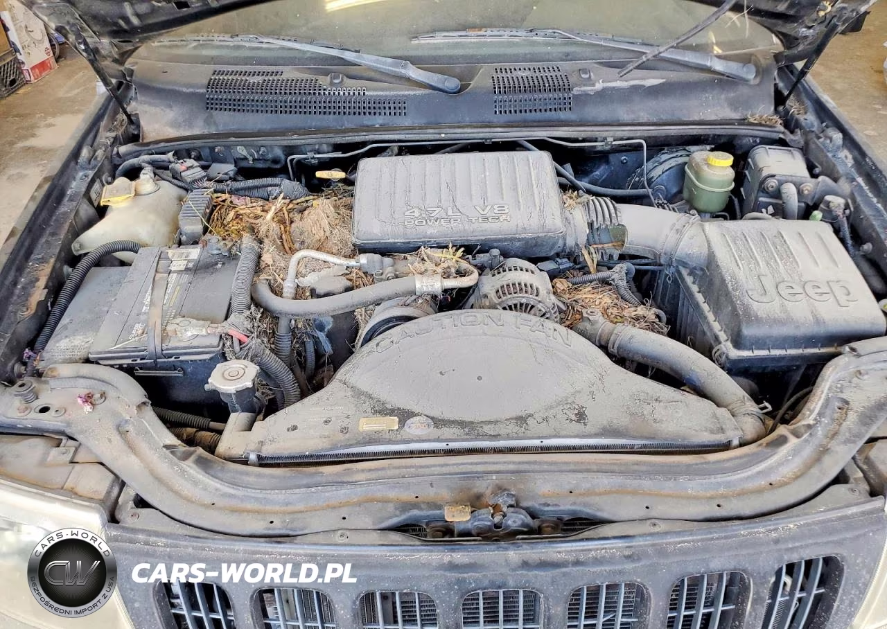 1999 Jep Grand Cherokee VIN:1J4GW68N3XC578516 - 12