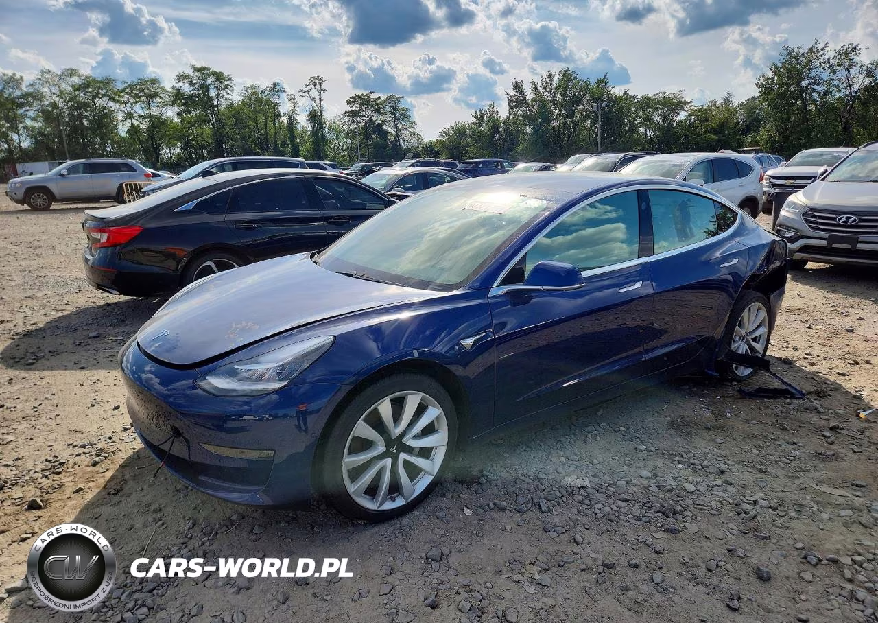 2020 Tesla Model 3
