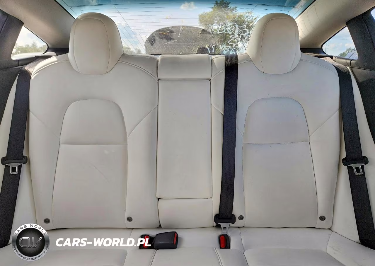 2020 Tesla Model 3 VIN:5YJ3E1EA0LF615871 - 10