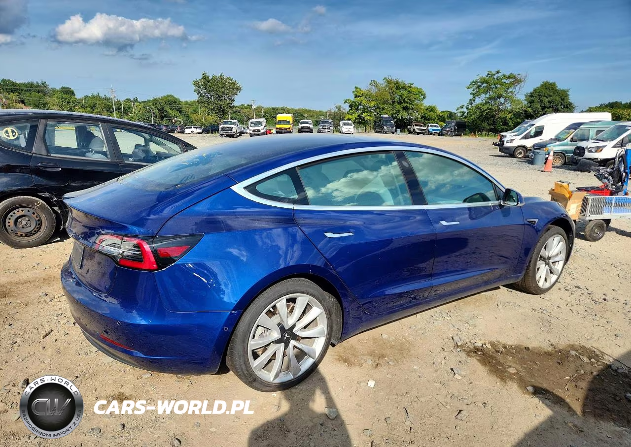 2020 Tesla Model 3 VIN:5YJ3E1EA0LF615871 - 3