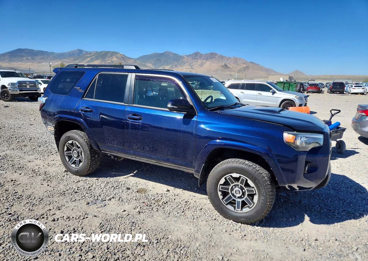 2020 Toyota 4Runner Trd Off-Road Premium VIN:JTEBU5JR2L5794395 - 4