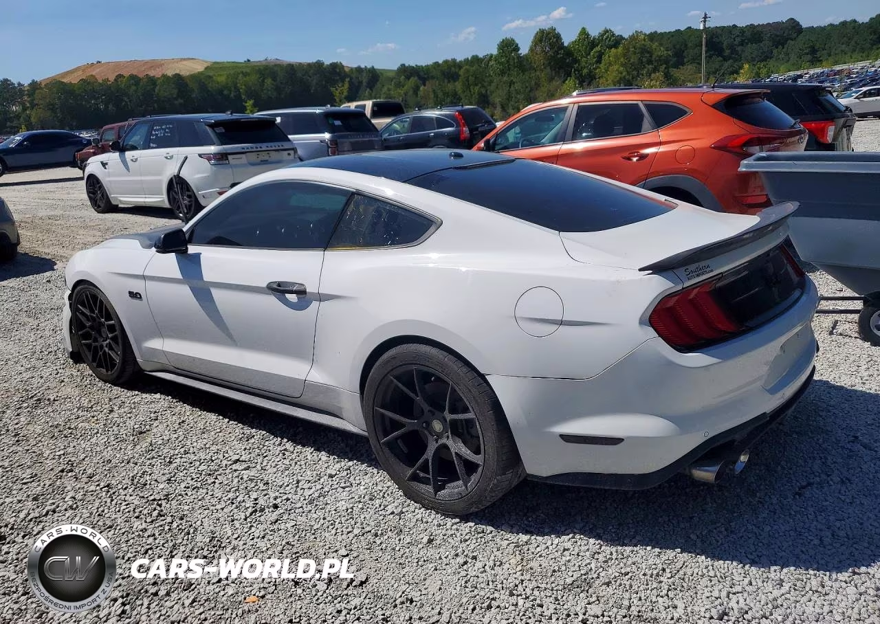 2019 Ford Mustang Gt VIN:1FA6P8CF6K5192508 - 2