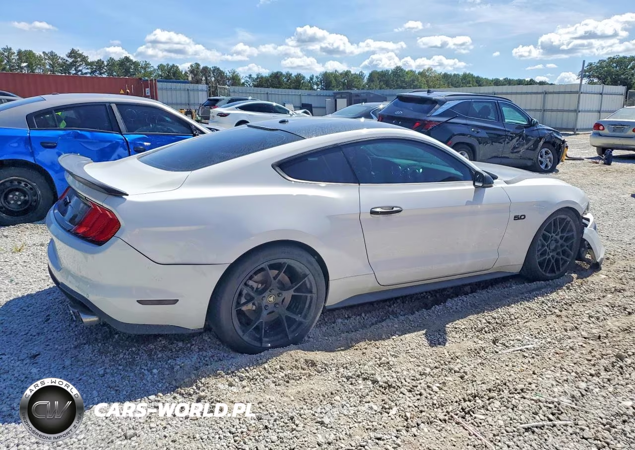 2019 Ford Mustang Gt VIN:1FA6P8CF6K5192508 - 3