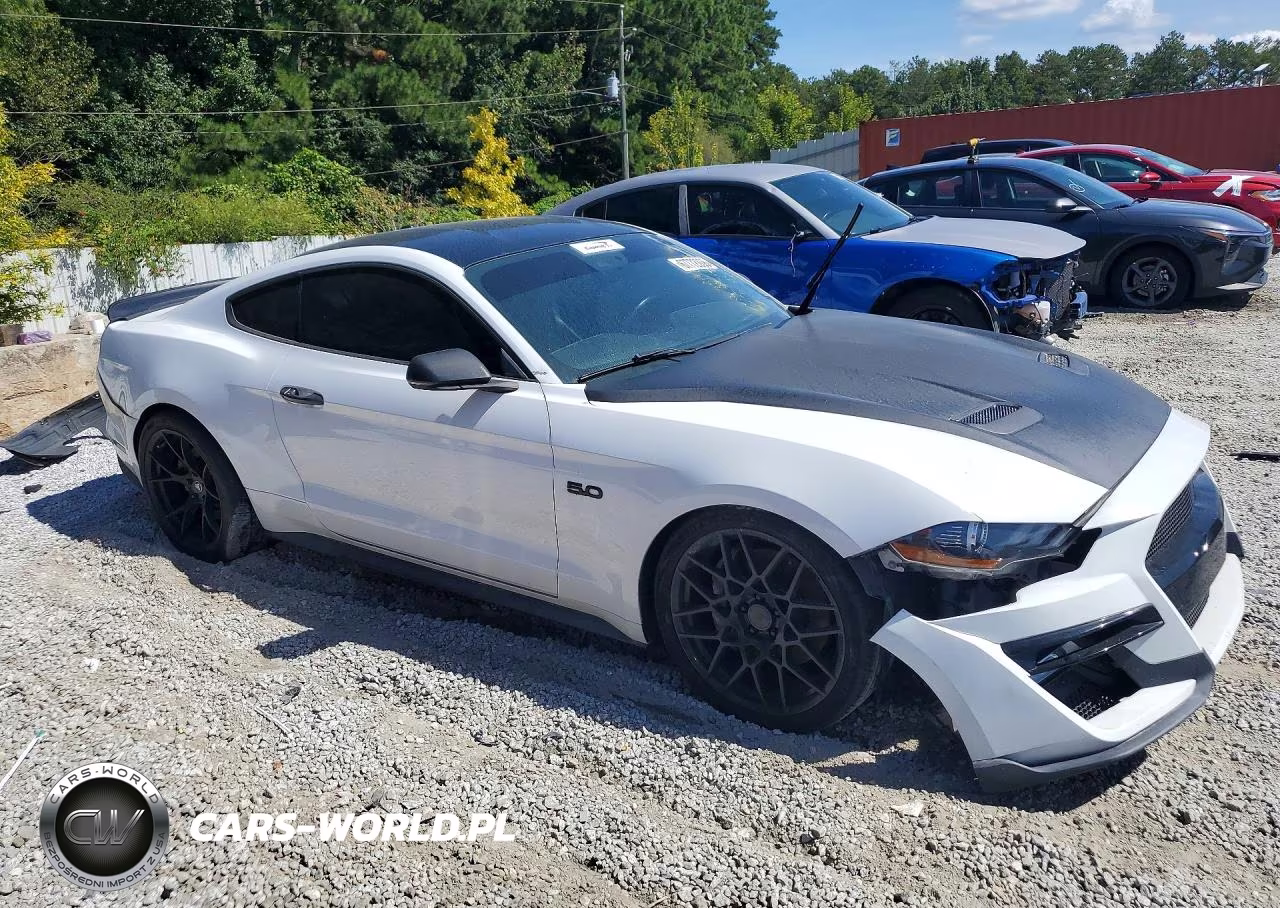 2019 Ford Mustang Gt VIN:1FA6P8CF6K5192508 - 4