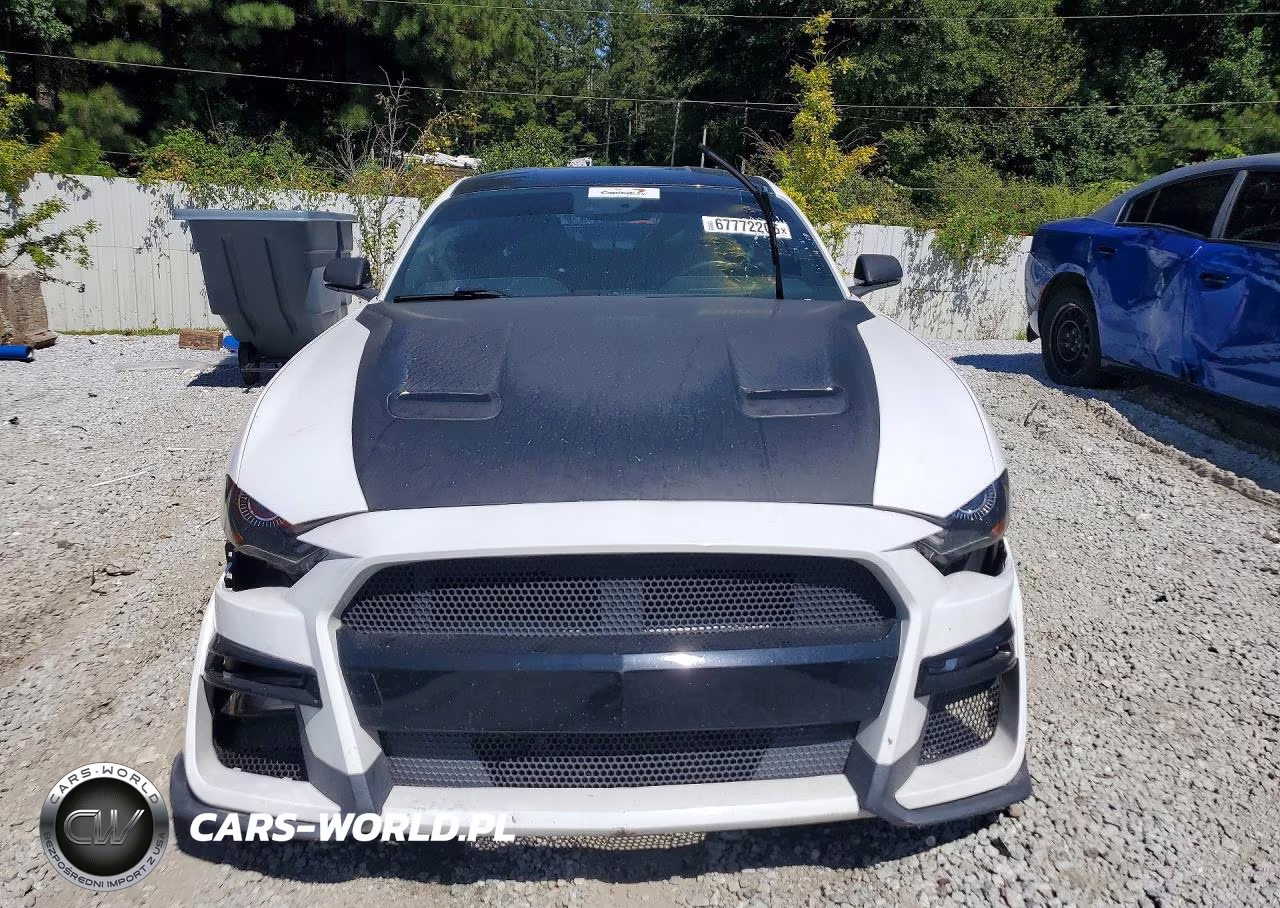 2019 Ford Mustang Gt VIN:1FA6P8CF6K5192508 - 5