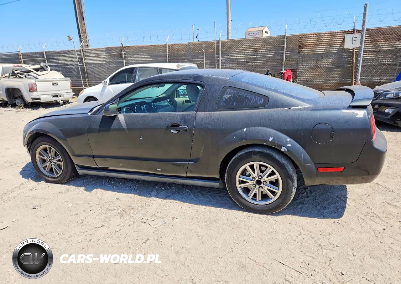 2005 Ford Mustang VIN:1ZVFT80N555215134 - 2