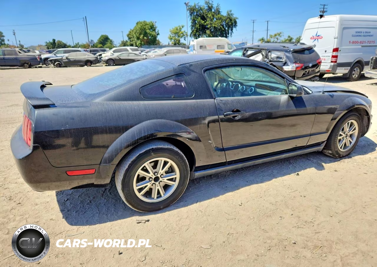 2005 Ford Mustang VIN:1ZVFT80N555215134 - 3