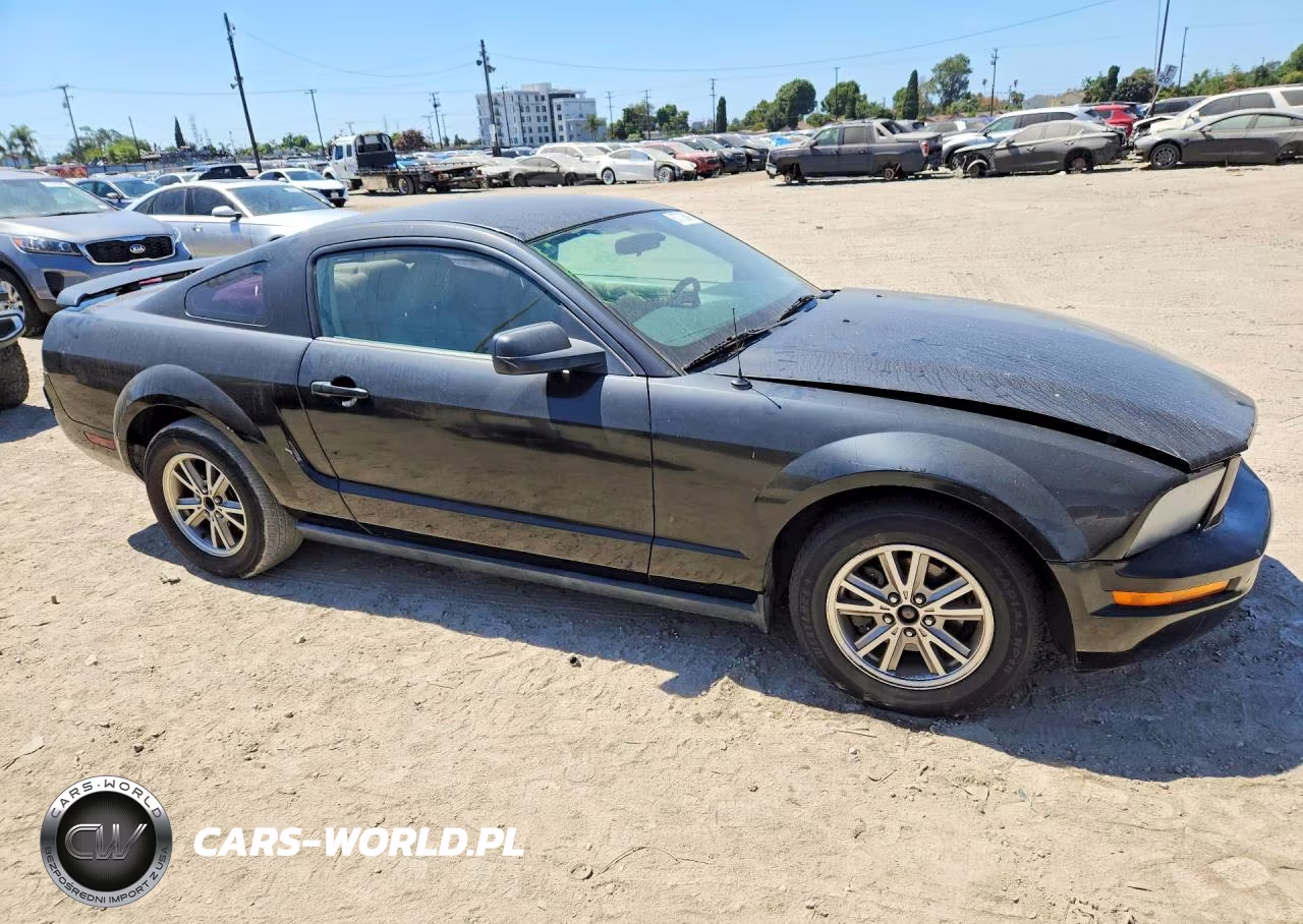 2005 Ford Mustang VIN:1ZVFT80N555215134 - 4