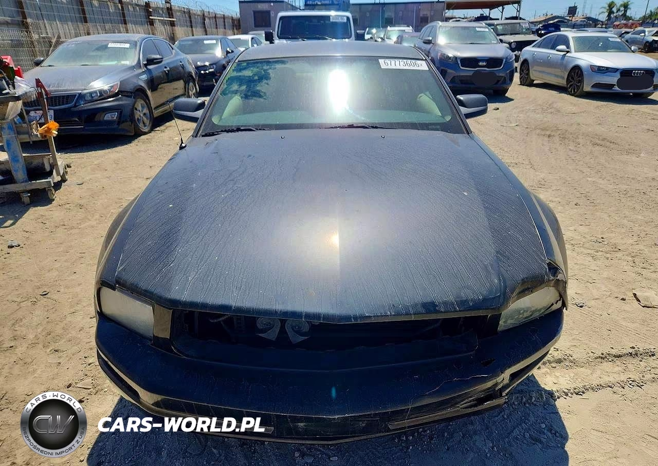 2005 Ford Mustang VIN:1ZVFT80N555215134 - 5