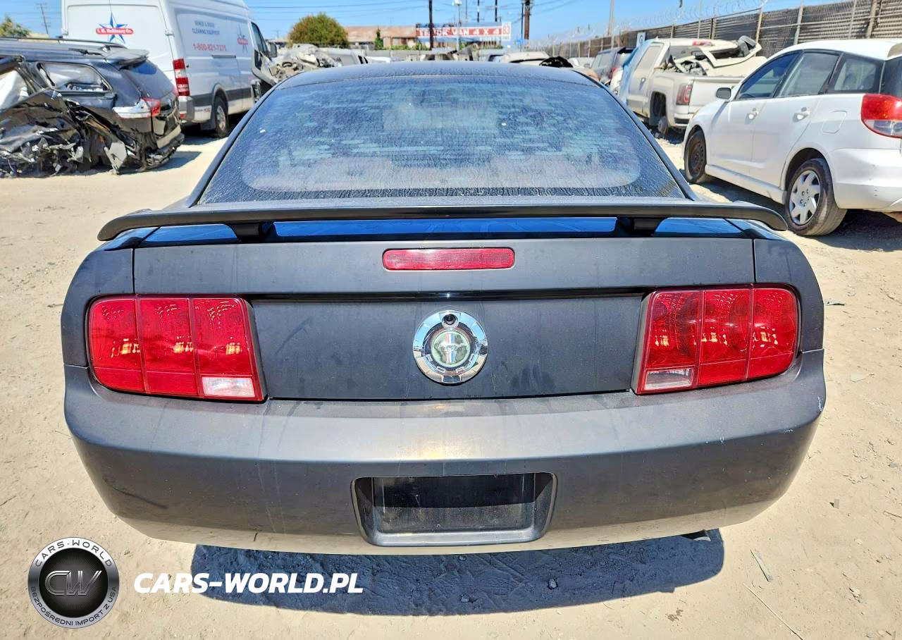 2005 Ford Mustang VIN:1ZVFT80N555215134 - 6