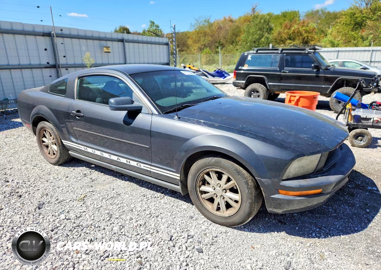 2008 Ford Mustang VIN:1ZVHT80N485108167 - 4