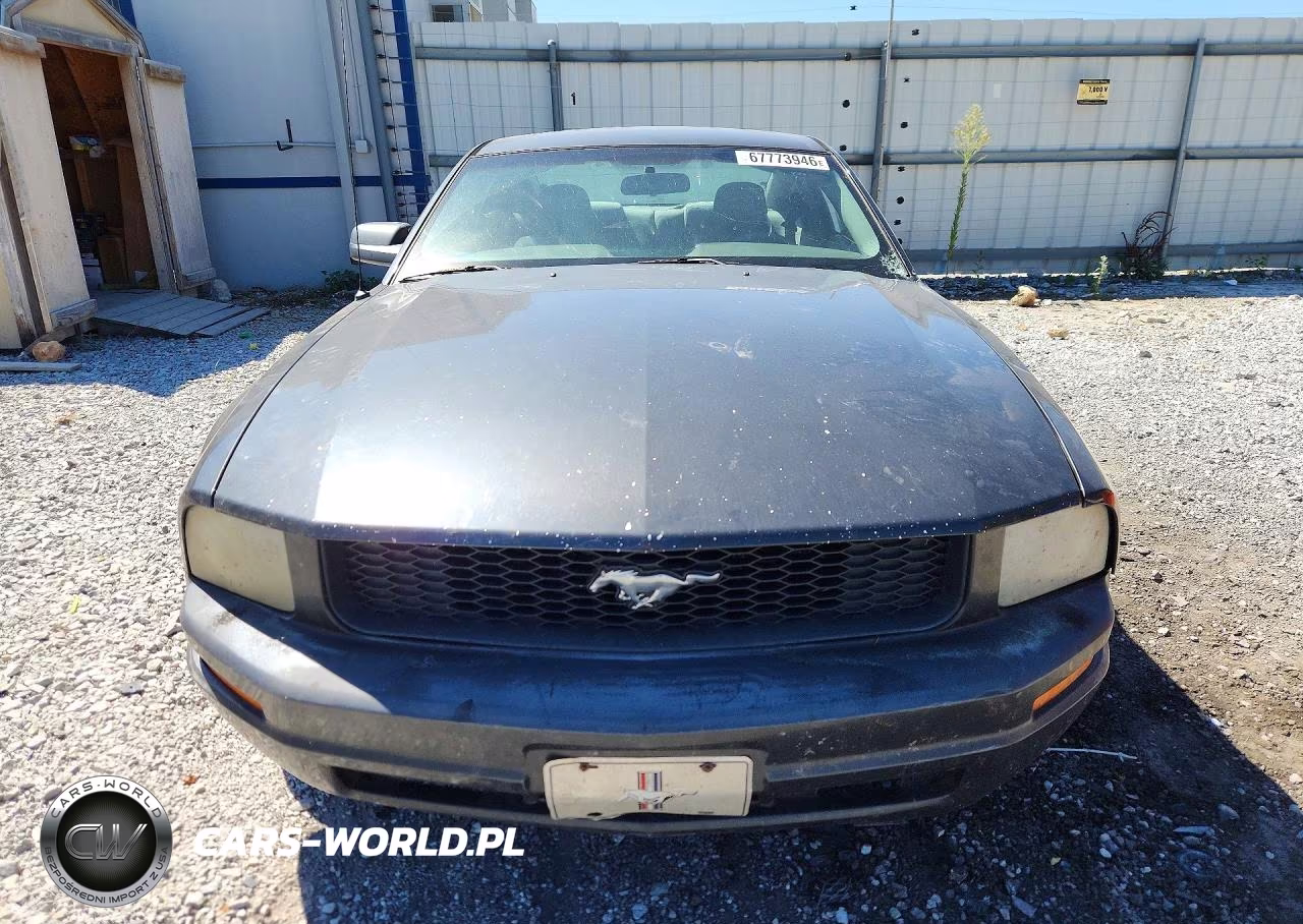 2008 Ford Mustang VIN:1ZVHT80N485108167 - 5