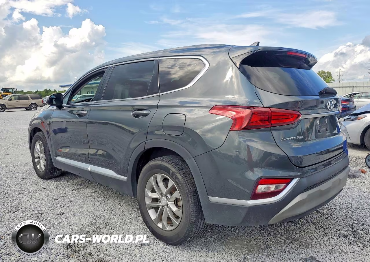 2020 Hyundai Santa Fe Sel VIN:5NMS33AD6LH231752 - 2