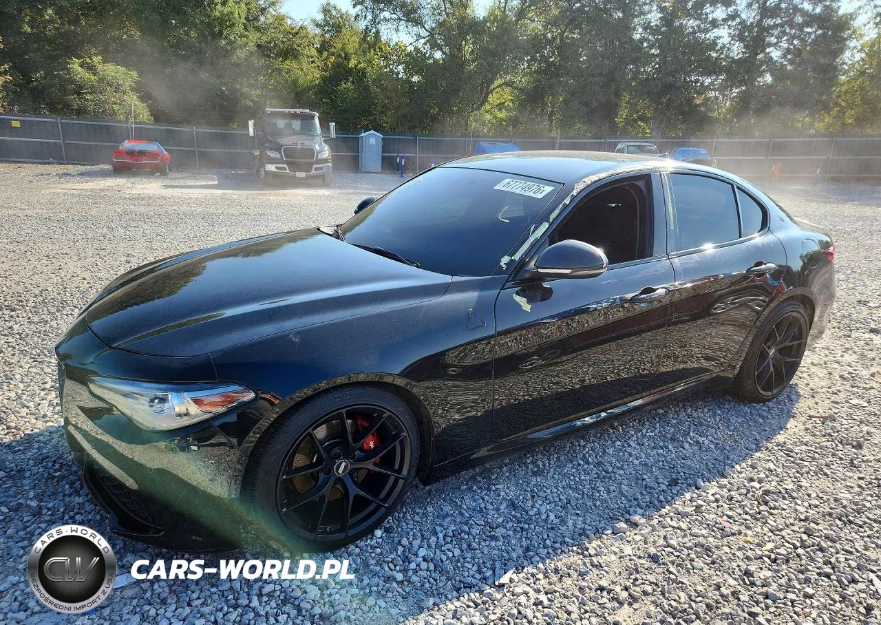 2019 Alfa Romeo Giulia VIN:ZARFAMAN3K7616218 - 1