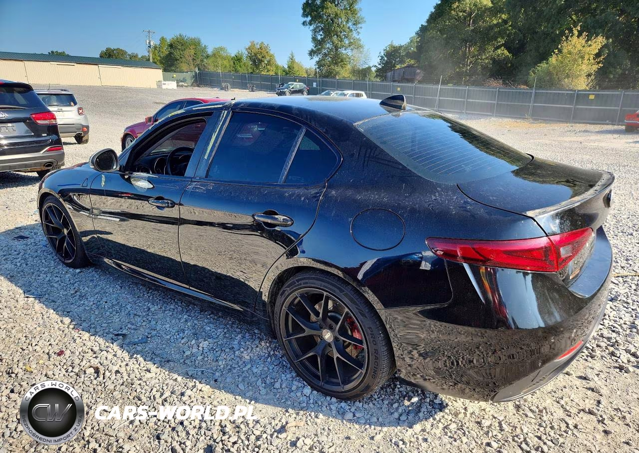 2019 Alfa Romeo Giulia VIN:ZARFAMAN3K7616218 - 2