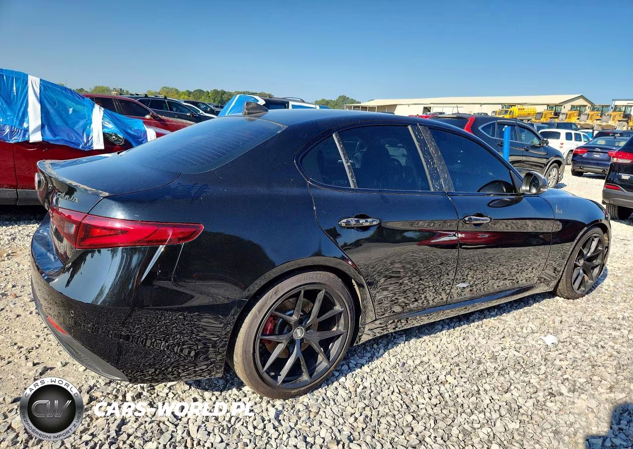 2019 Alfa Romeo Giulia VIN:ZARFAMAN3K7616218 - 3