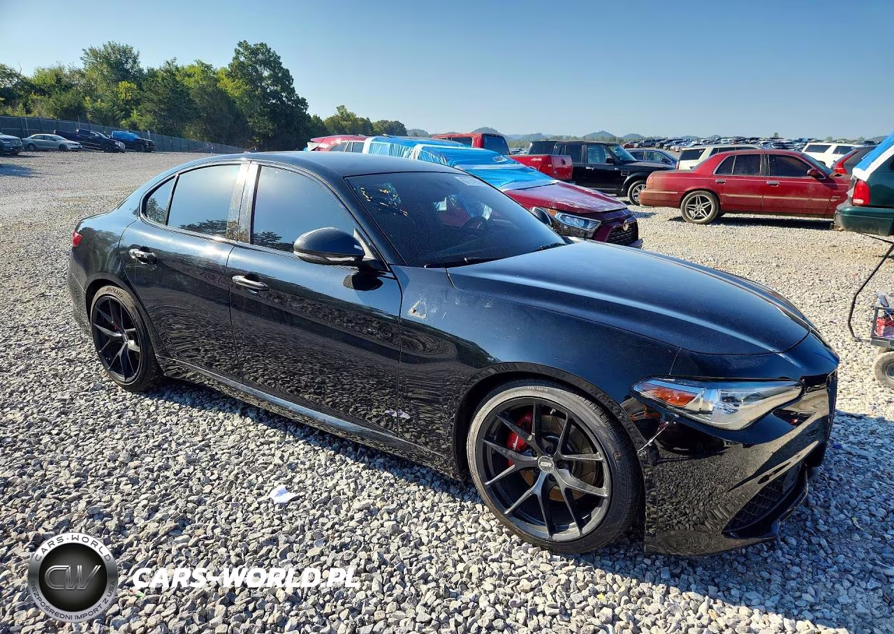 2019 Alfa Romeo Giulia VIN:ZARFAMAN3K7616218 - 4