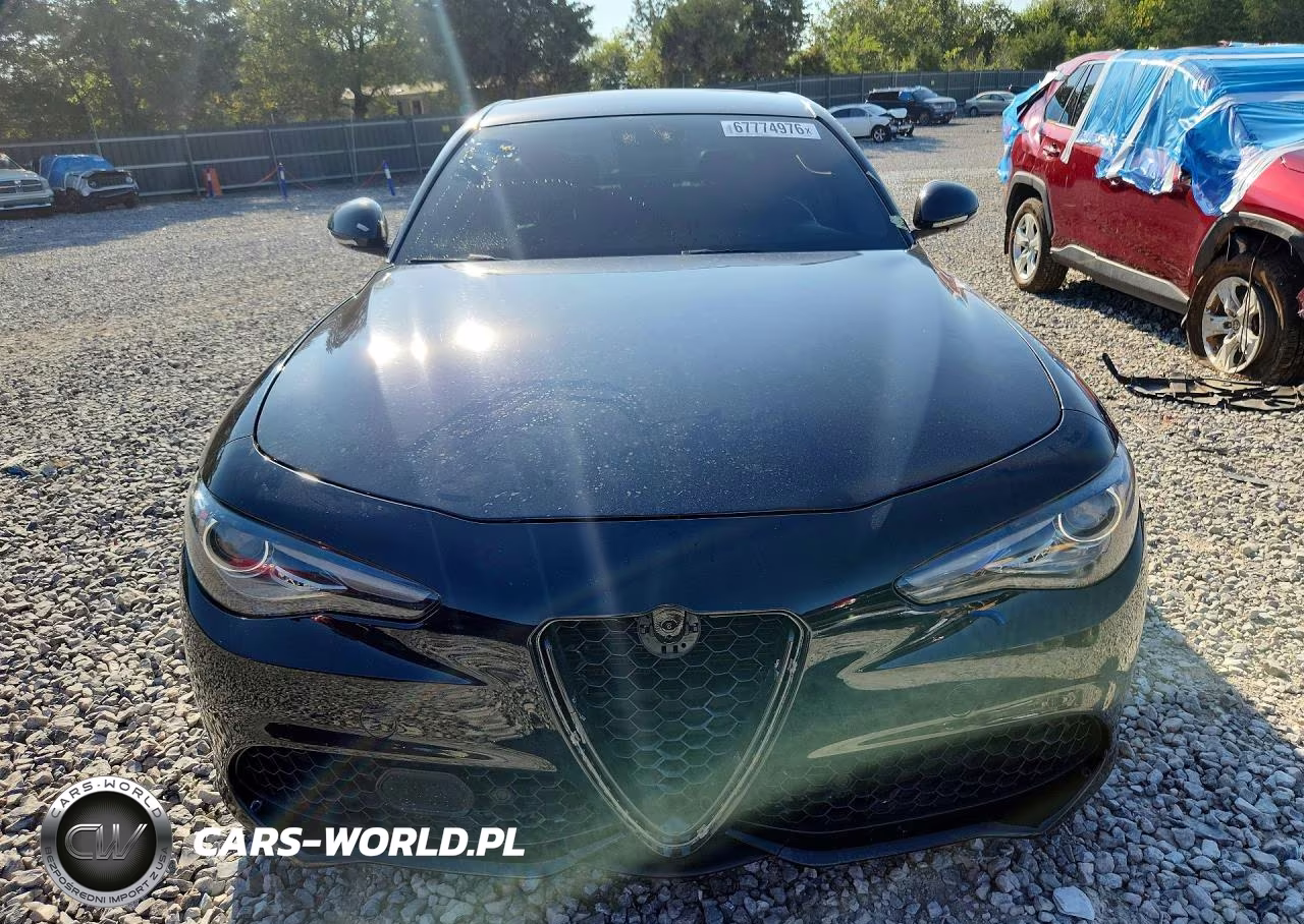2019 Alfa Romeo Giulia VIN:ZARFAMAN3K7616218 - 5