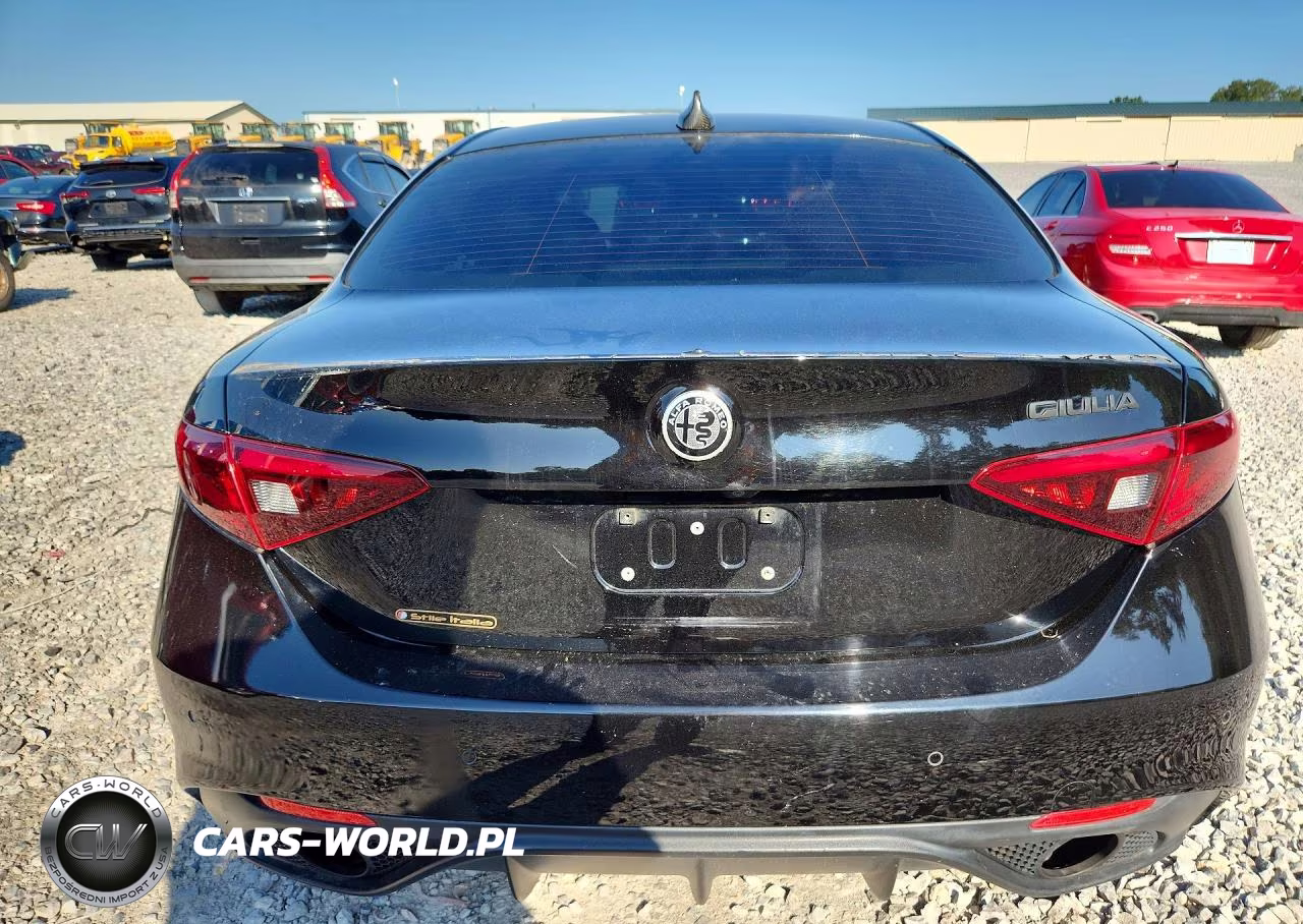 2019 Alfa Romeo Giulia VIN:ZARFAMAN3K7616218 - 6