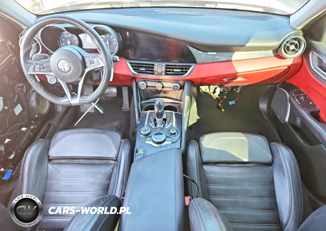2019 Alfa Romeo Giulia VIN:ZARFAMAN3K7616218 - 8