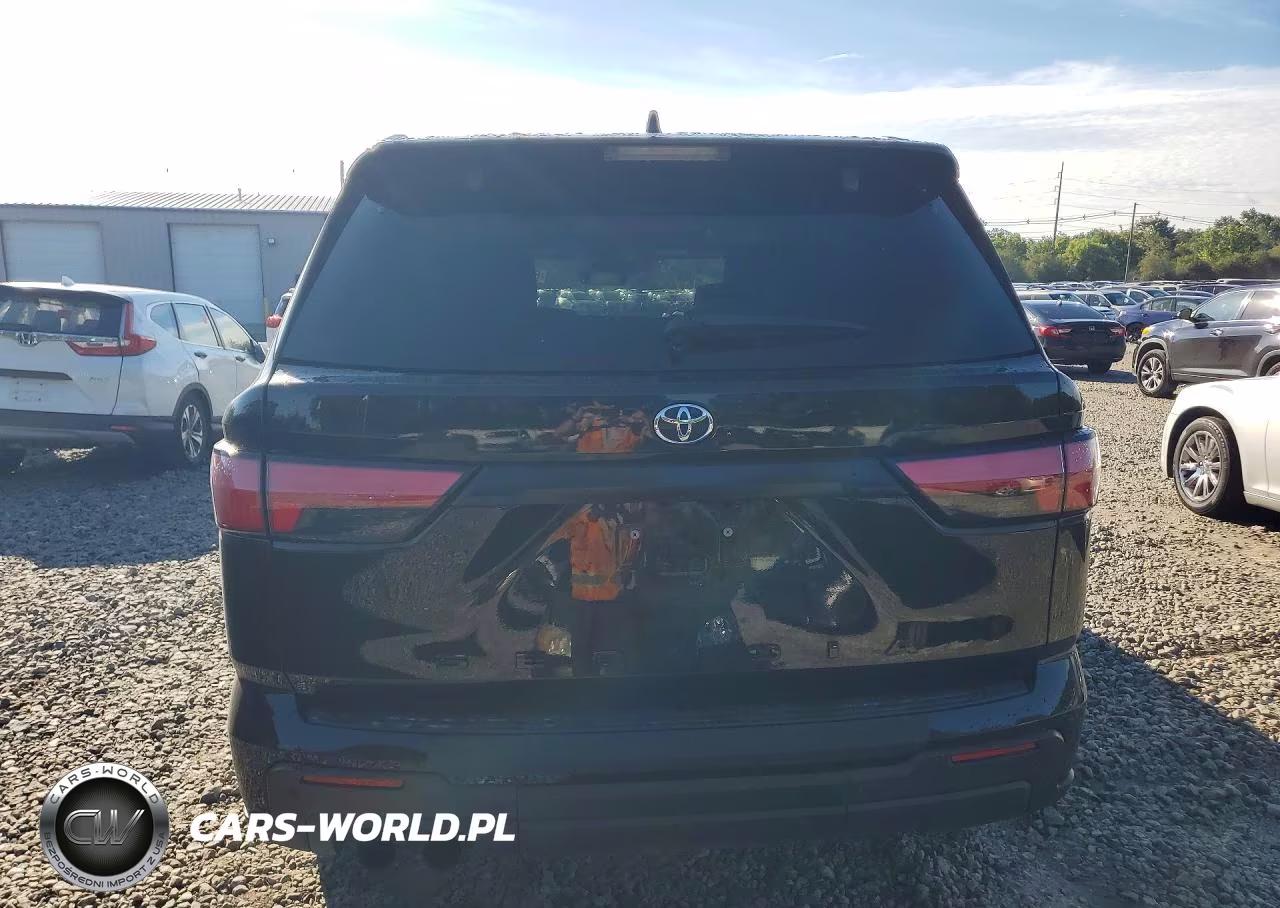 2023 Toyota Sequoia Trd Pro VIN:7SVAAABA0PX013464 - 6