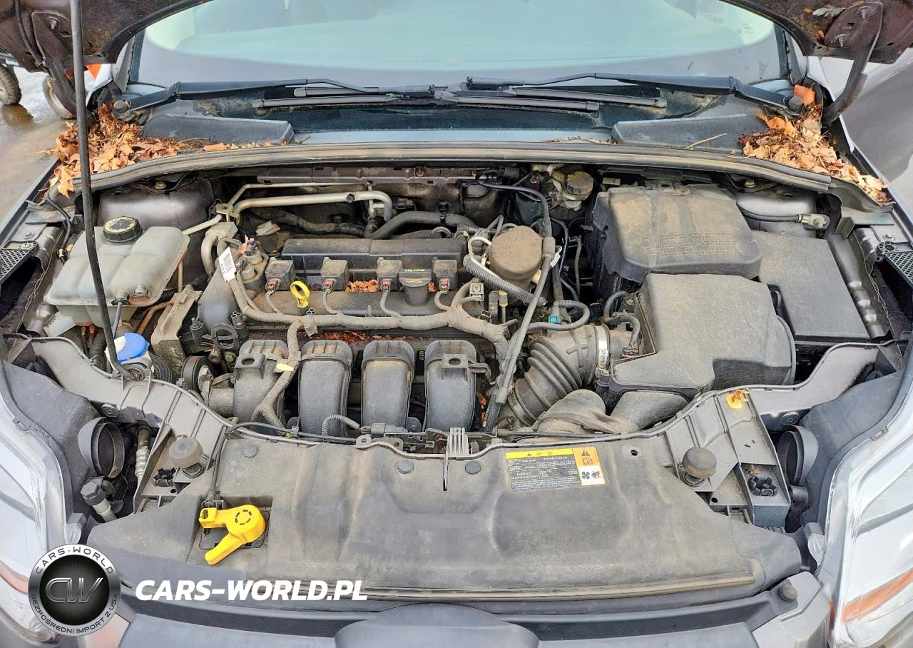 2013 Ford Focus Se VIN:1FADP3K21DL292054 - 11