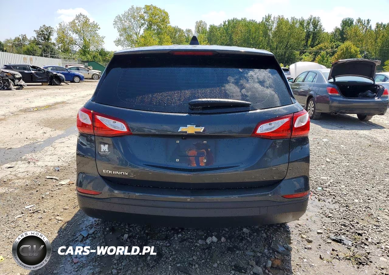 2020 Chevrolet Equinox Ls VIN:2GNAXHEV6L6280657 - 6