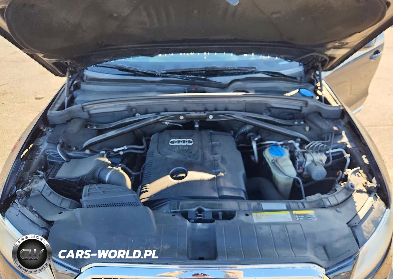 2013 Audi Q5 Premium Plus VIN:WA1LFAFP5DA086969 - 12
