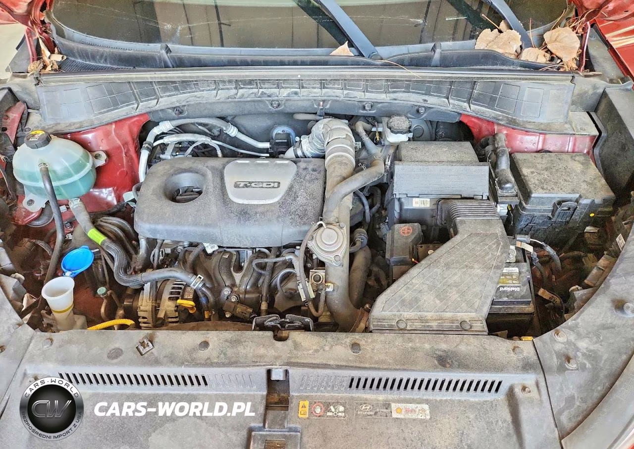 2018 Hyundai Tucson Limited VIN:KM8J33A20JU804933 - 12