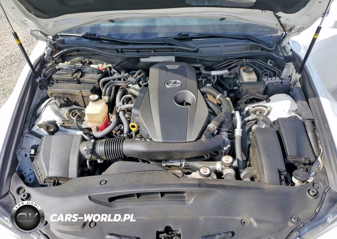 2019 Lexus Is 300 VIN:JTHBA1D24K5089809 - 11