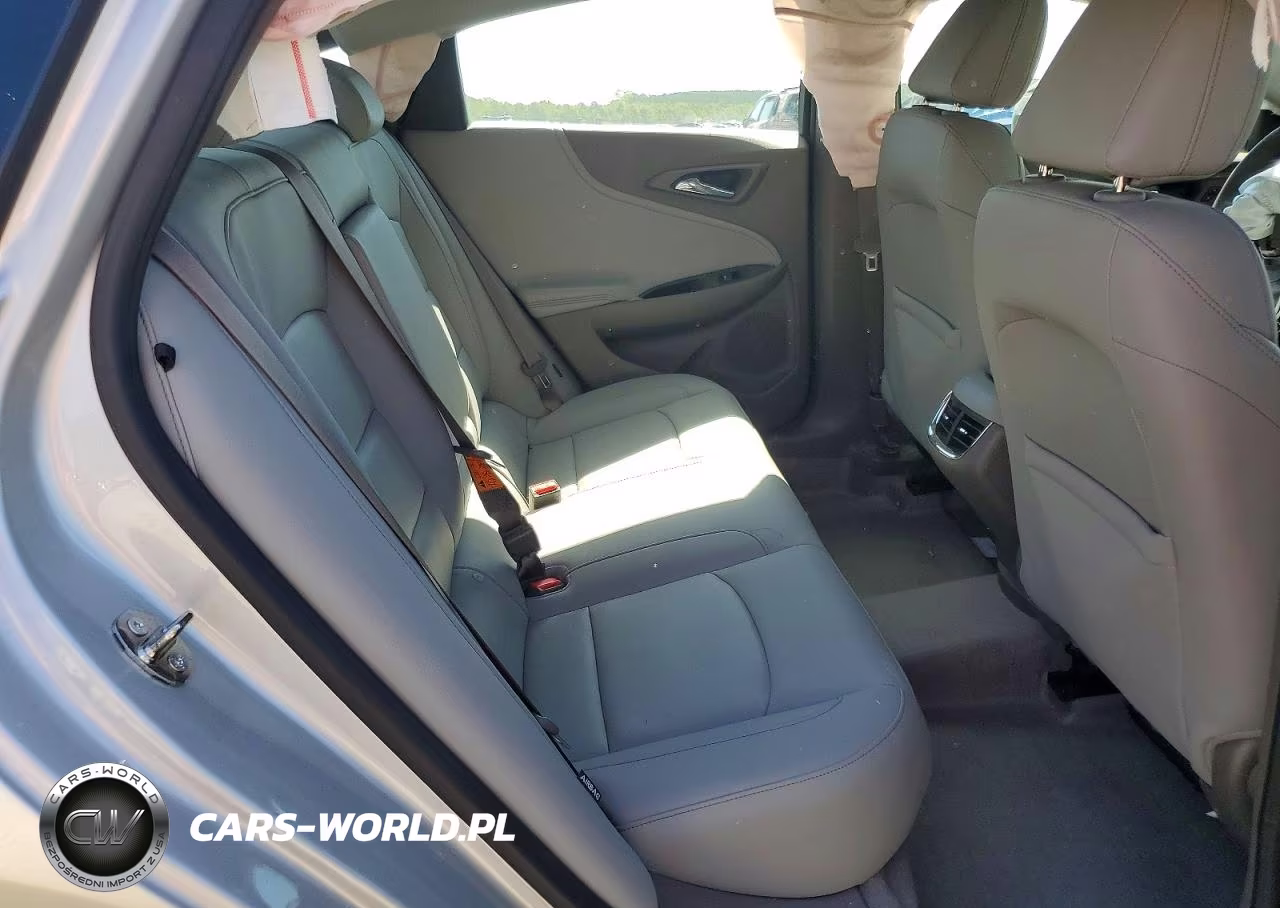 2019 Chevrolet Malibu Lt VIN:1G1ZD5ST6KF123603 - 10