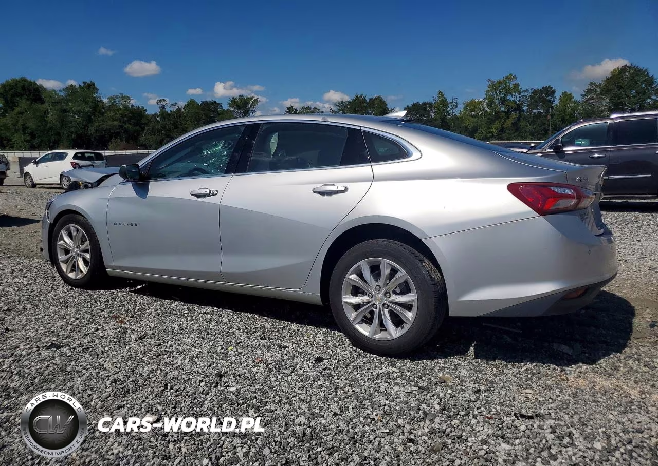 2019 Chevrolet Malibu Lt VIN:1G1ZD5ST6KF123603 - 2