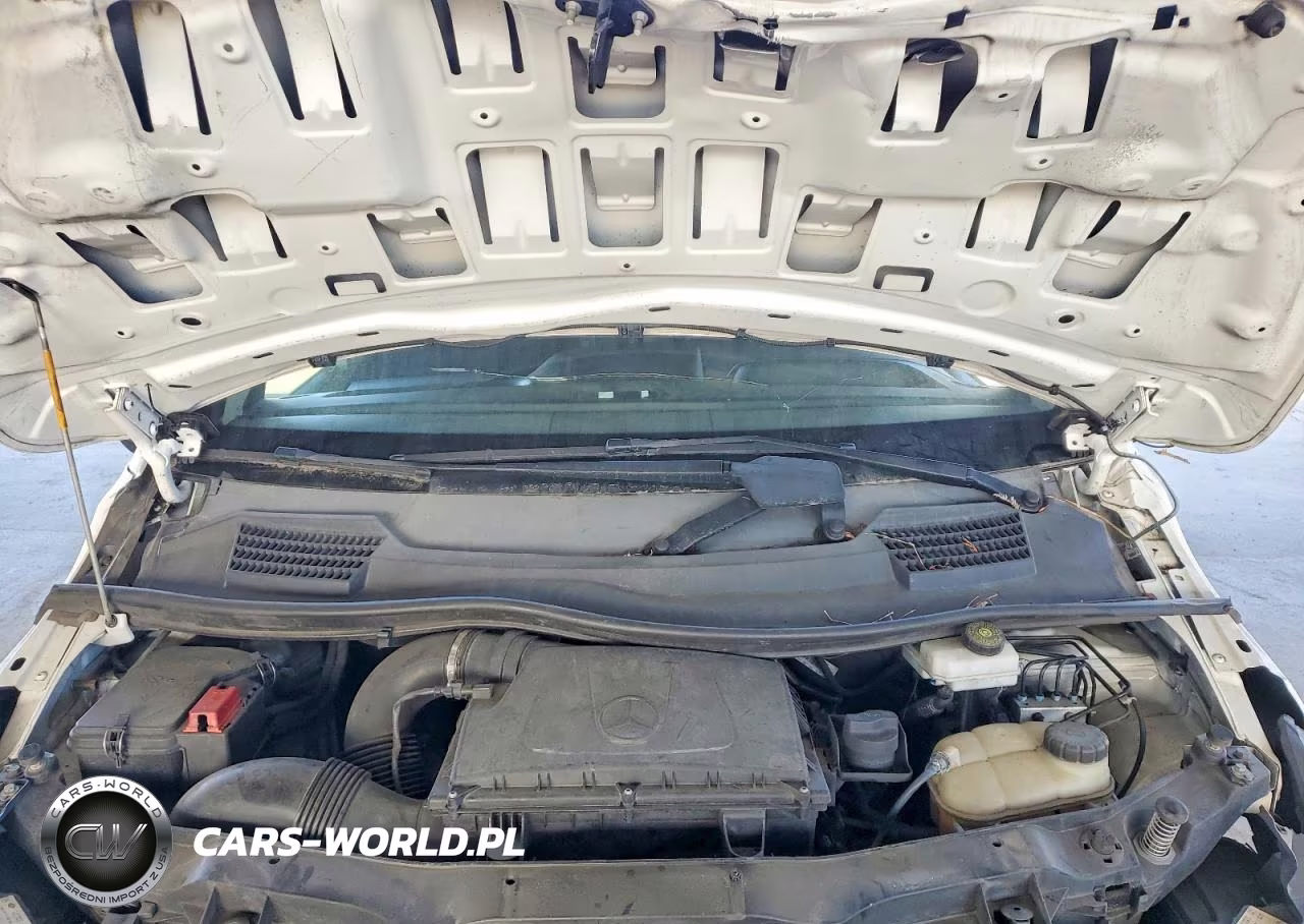 2020 Mercedes-Benz Delivery Van VIN:WD3PG2EA1L3673030 - 12