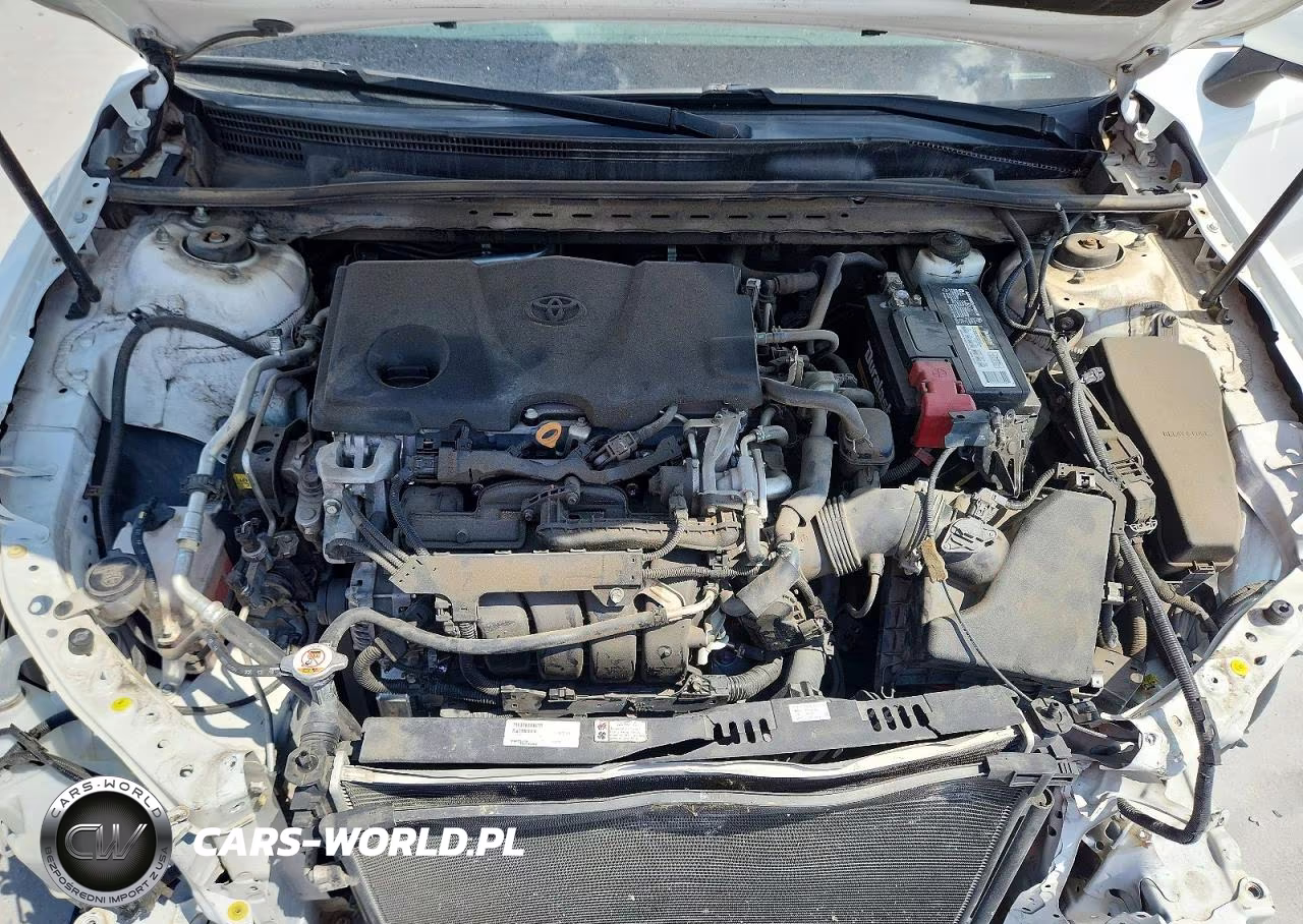 2019 Toyota Camry Le VIN:4T1B11HKXKU291891 - 11