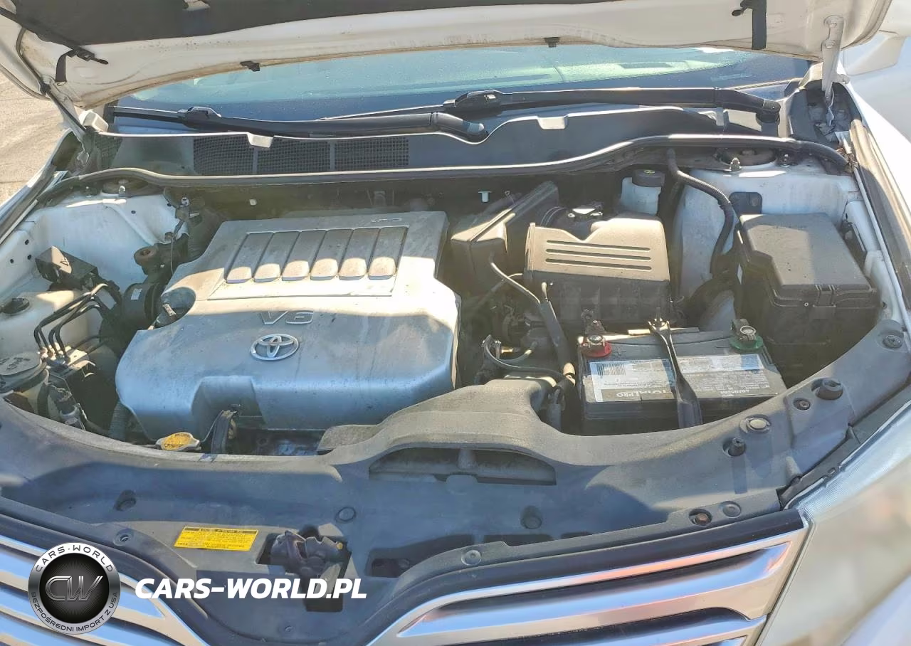 2010 Toyota Venza Awd V6 VIN:4T3BK3BB2AU043772 - 11