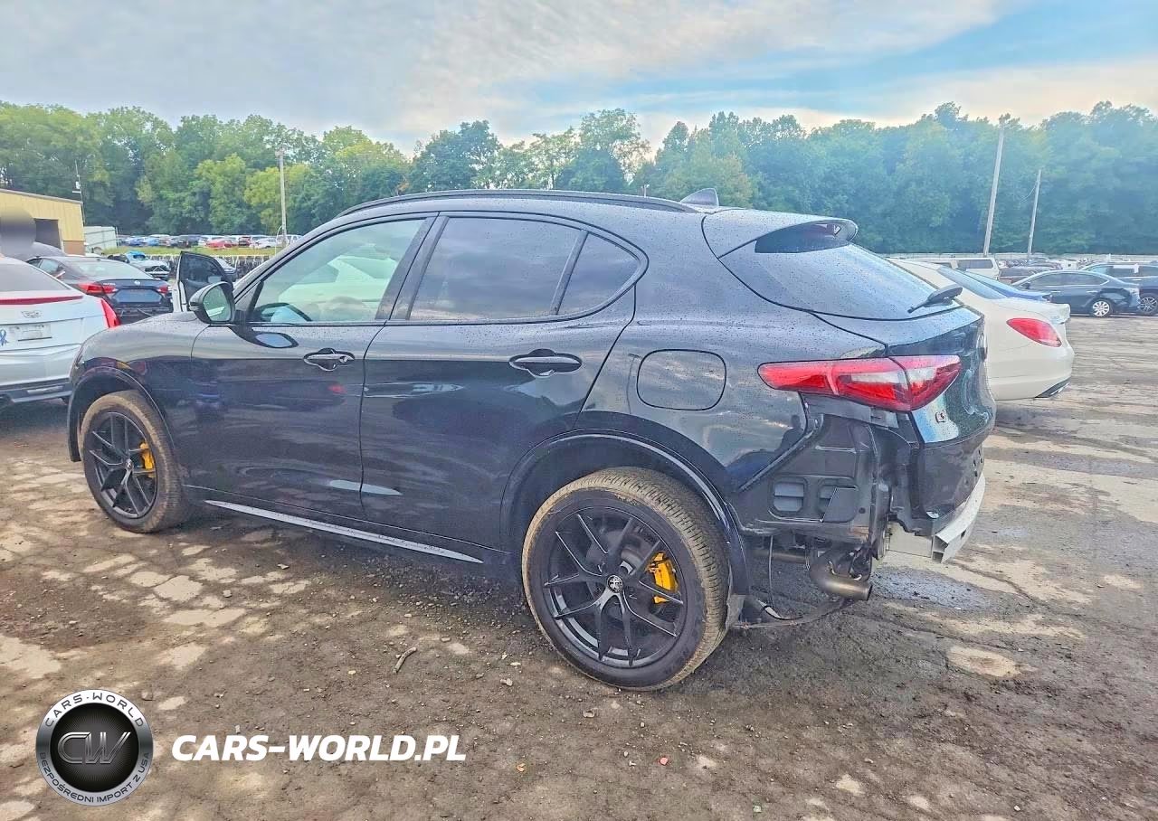 2021 Alfa Romeo Stelvio Ti VIN:ZASPAKBN2M7D19629 - 2
