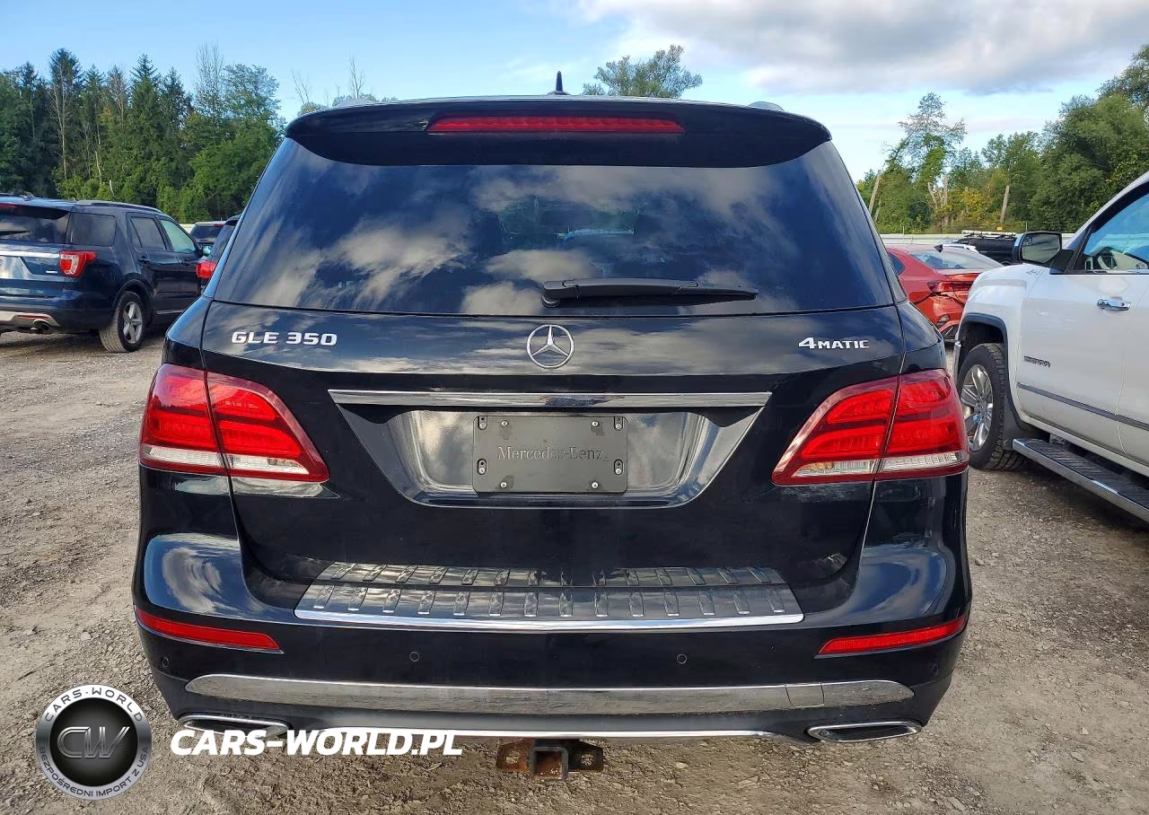 2017 Mercedes-Benz Gle 350 4Matic VIN:4JGDA5HB7HA982290 - 6