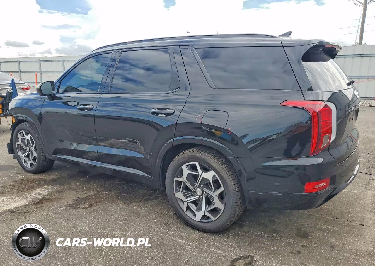 2021 Hyundai Palisade Calligraphy VIN:KM8R7DHE9MU261566 - 2