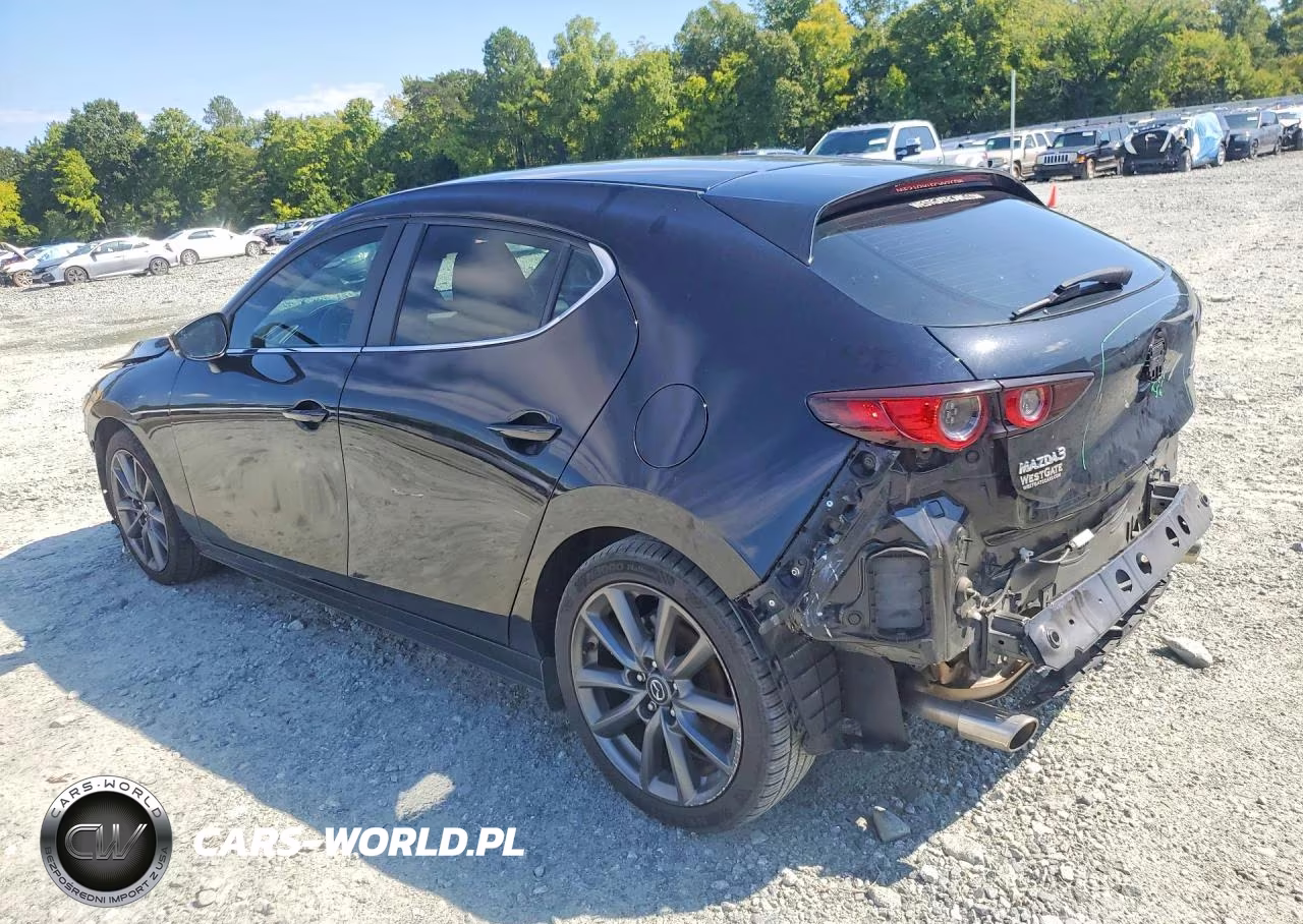 2020 Mazda 3 VIN:JM1BPALM8L1171425 - 2