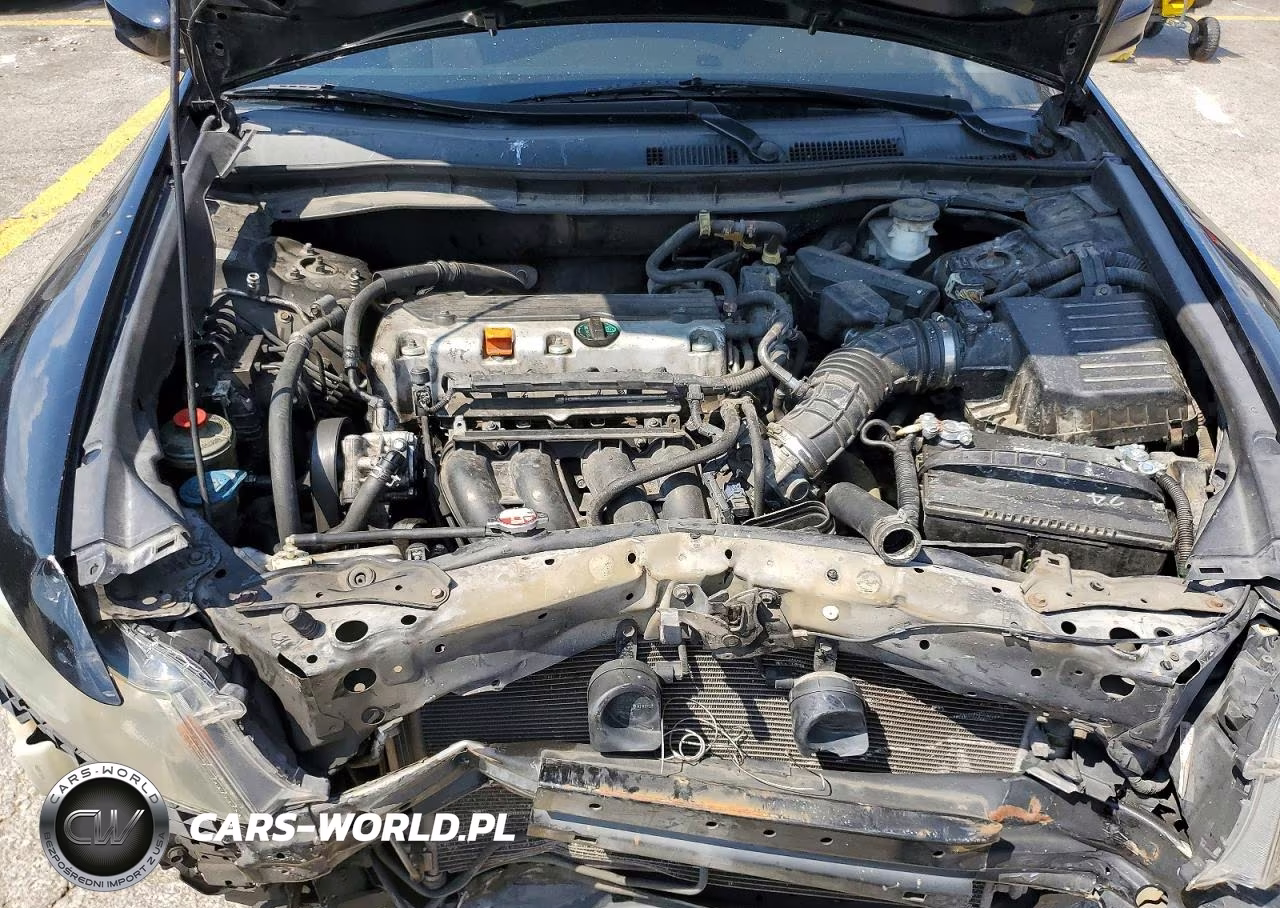 2009 Honda Accord Lx VIN:1HGCP26339A110118 - 11