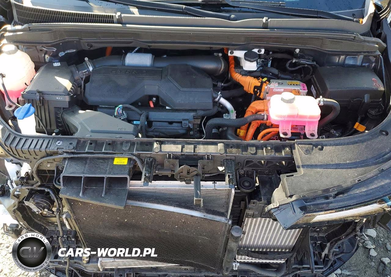 2025 Kia Carnival Hybrid Sx VIN:KNDNE5KA0S6048415 - 12
