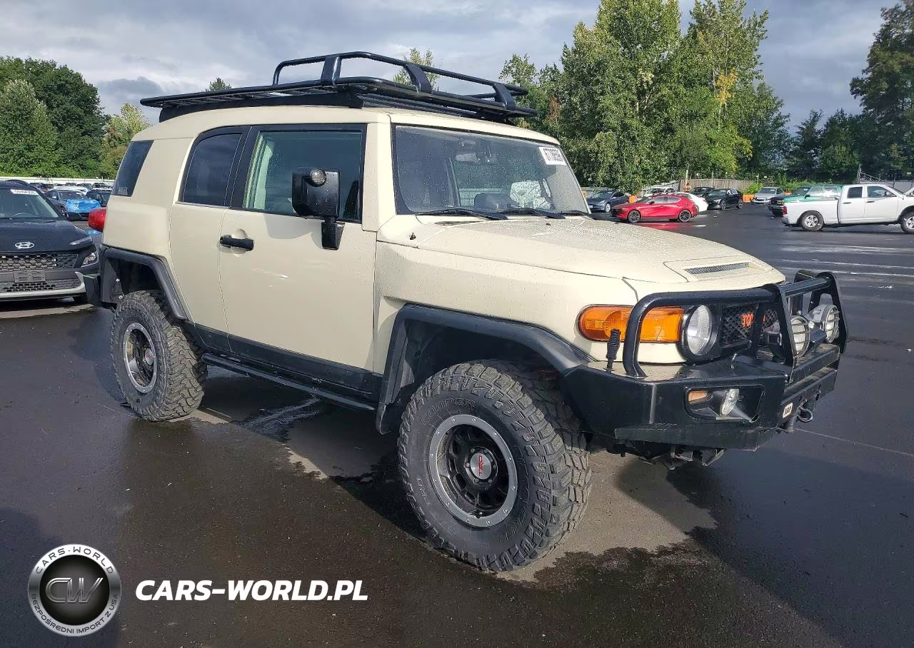 2010 Toyota Fj Cruiser Base VIN:JTEBU4BF2AK071708 - 4