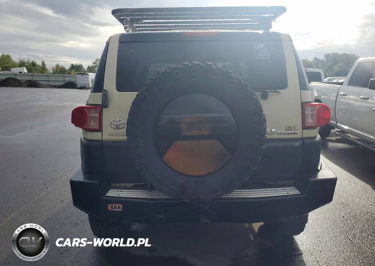 2010 Toyota Fj Cruiser Base VIN:JTEBU4BF2AK071708 - 6